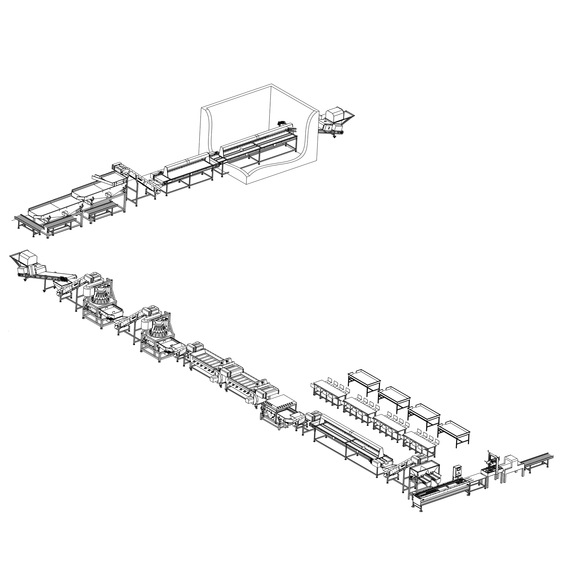 Dried Fig and Apricot Washing Selection and Boxing Line